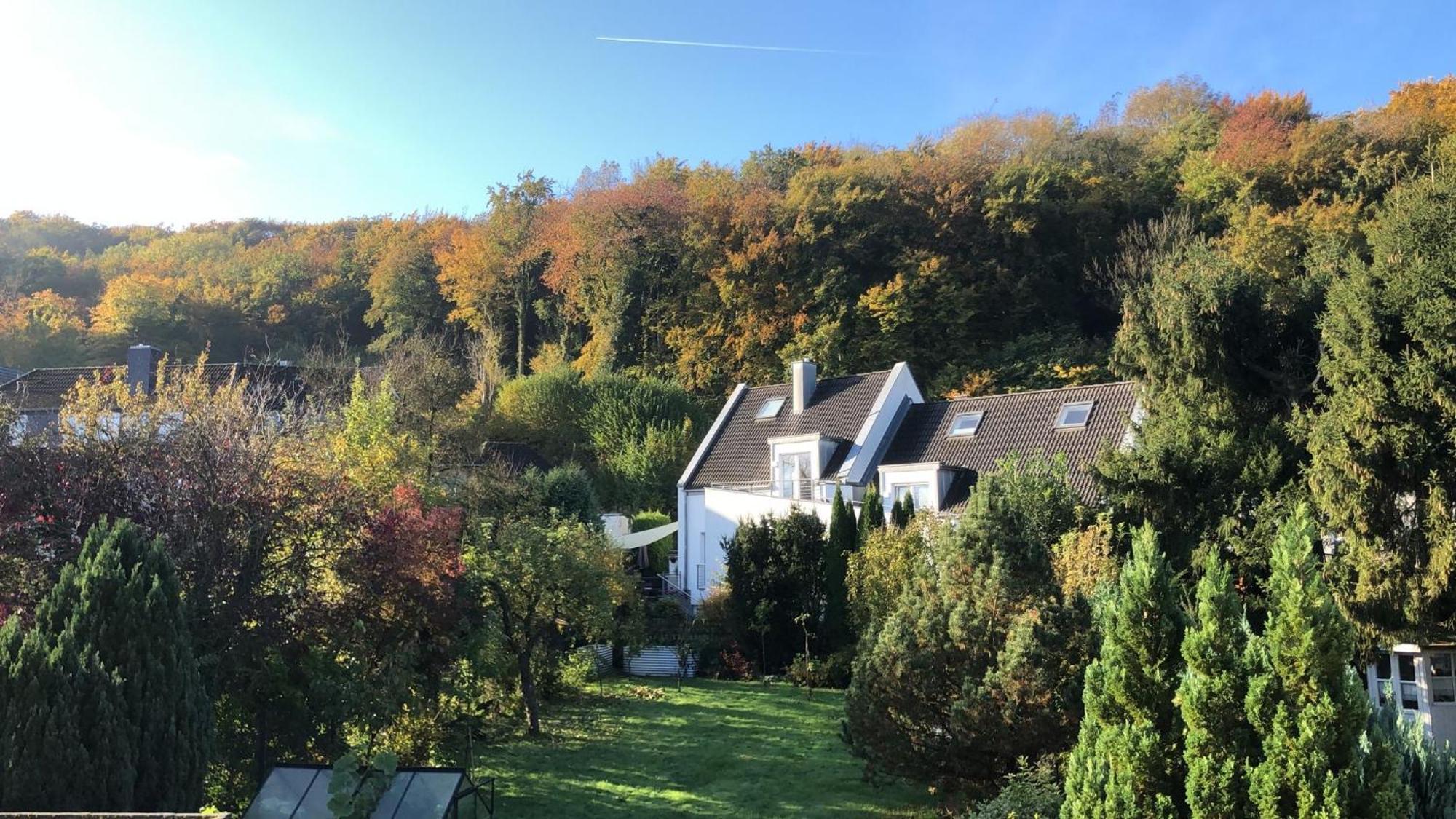 Ferienwohnung Am Schoelerberg Osnabruck Bagian luar foto